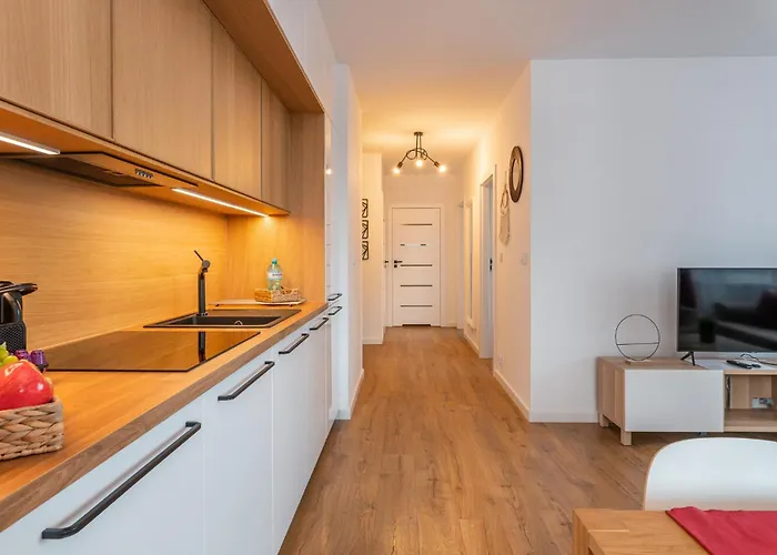 Appartamento Pure Premium - Free Parking & Ac Breslavia